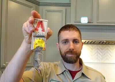 Kalamazoo pest control